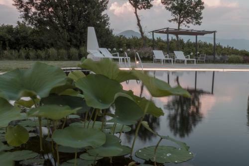 Agroturismo I Cacciagalli