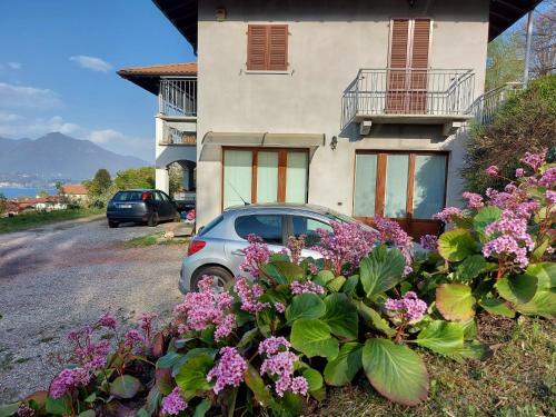 La Casa Delle Camelie