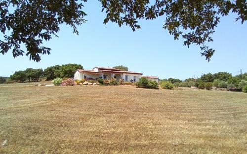 B&B Andrieddu