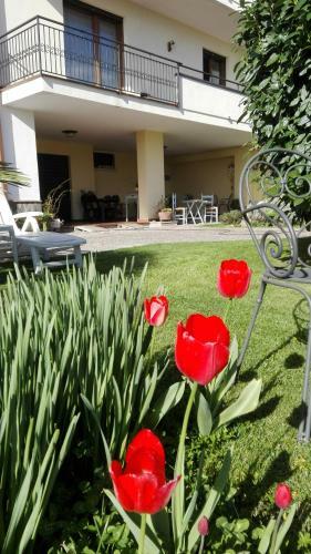 Bed & Breakfast Casa Iovara
