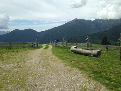 Apartamento Il Bosco In Casa