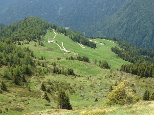 Apartamento Il Bosco In Casa