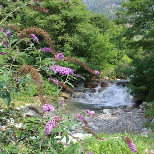 B&B Al Portico