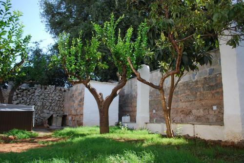 Villa La Dimora Della Quercia
