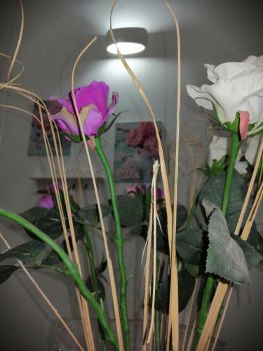 Apartamento La Casa Di Chiara