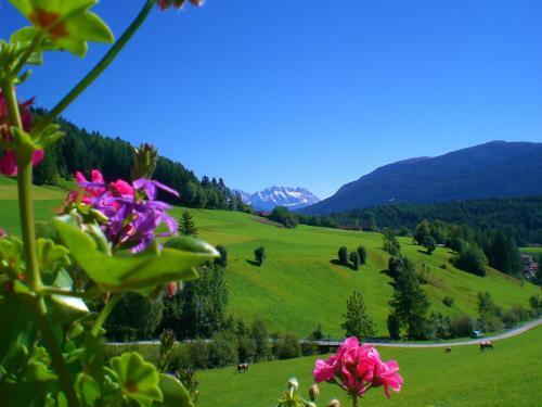 Agroturismo Alpegger