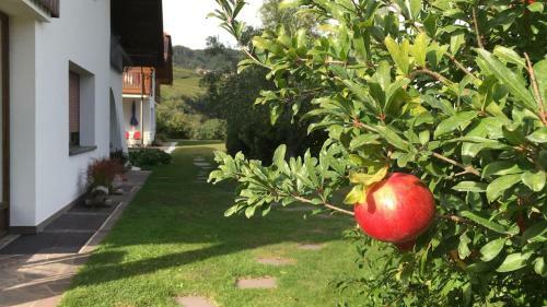 Apartamento Unterstoan Hof