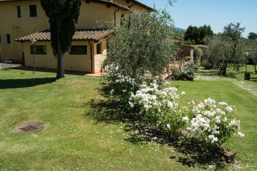 La Casa Delle Rose