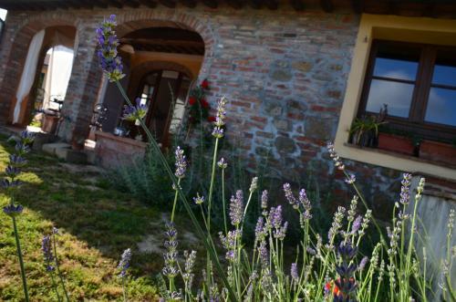 Casa Vacanze Magnolia