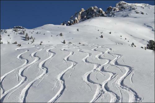 Bed & Breakfast Casa De Fiemme