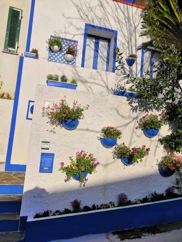 La Porta Blu