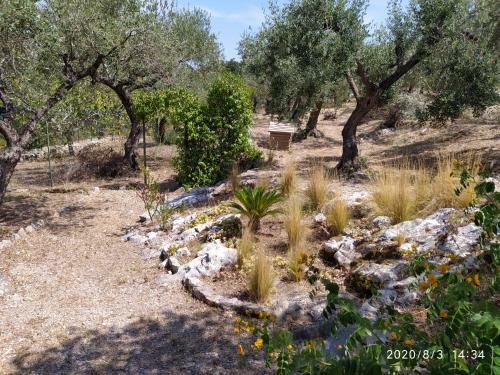 Il Giardino Di Mary