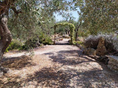 Il Giardino Di Mary
