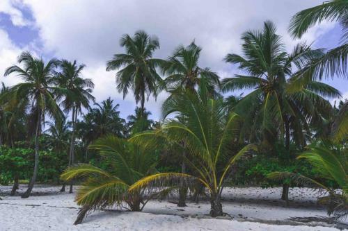 Golden Beach Apartment Diani