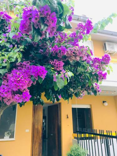Bed & Breakfast Le Stanze Di Botticelli