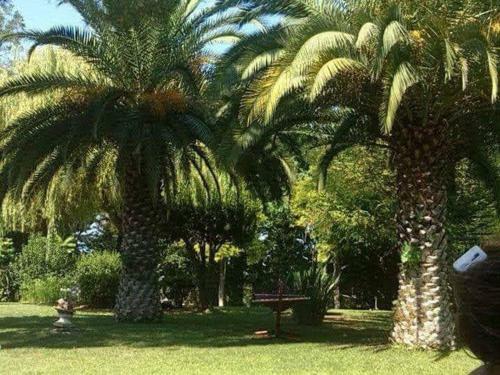 B&B Villa Sole