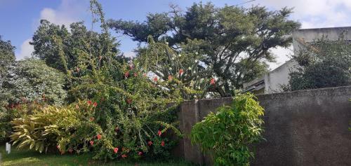 Charming 2-bed Cottage With Free Parking In Harare