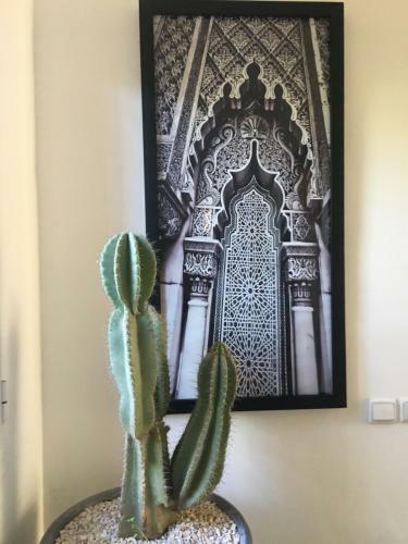 Villa Cactus