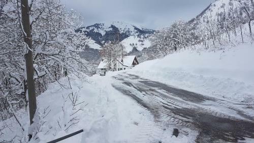 Hotel Rifugio Fornas