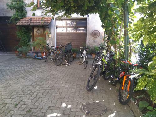 B&B Movimento