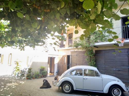 B&B Movimento