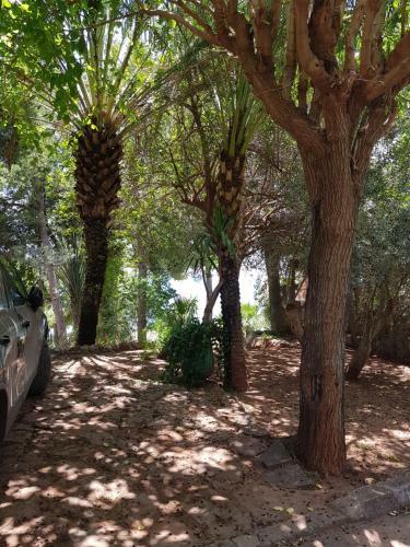 Apartamento Appart Bin Elouidane