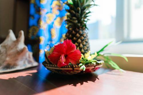 Hotel Mambo Paradise