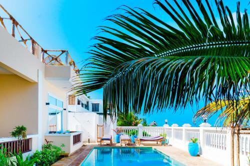 Hotel Mambo Paradise