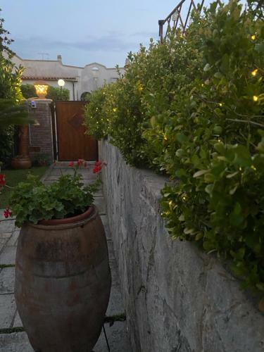 Bed & Breakfast Villa Ninni