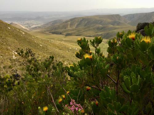 Little Karoo Dream