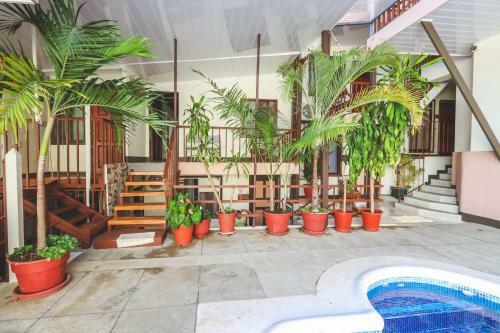Hotel Flor Blanca