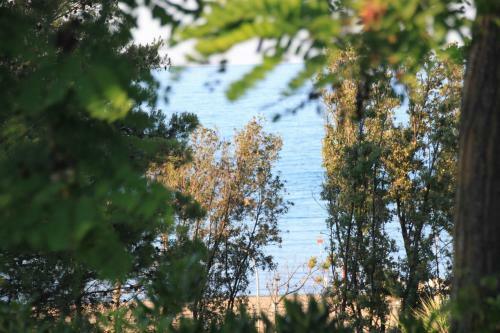 La Collinetta Sul Mare