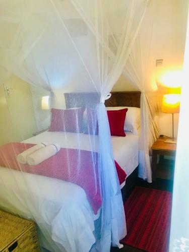 Hostal The Duck Inn Limited