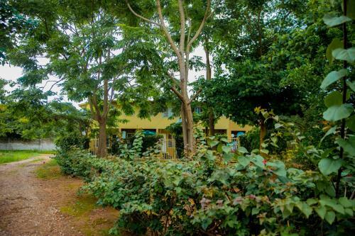 Comfortable Apartment Near Foxdale Court