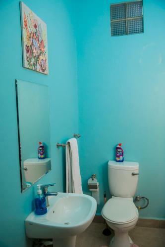 Comfortable Apartment Near Foxdale Court