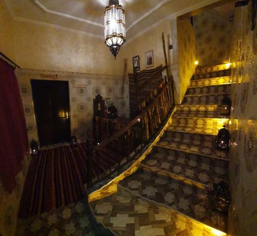 Hotel H�tel Bia Besta