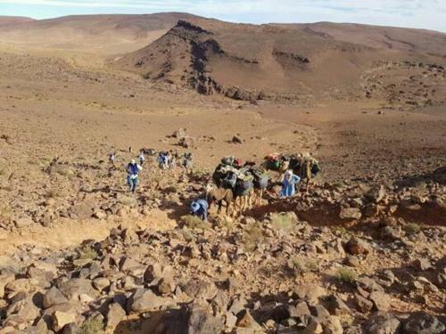 Hostal Auberge Oued Dades