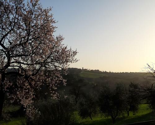 Agroturismo Casale Ziarelli