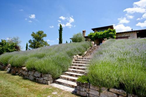 Villa Casale Delle Lavande 10