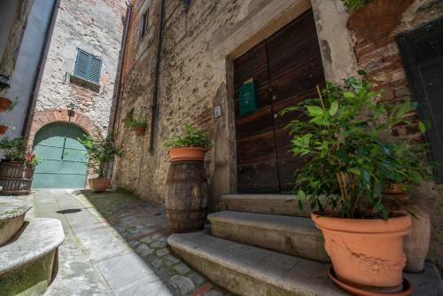 Hostal Lemon Tree Boutique Guest House
