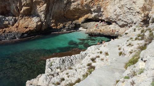 Mediterranean