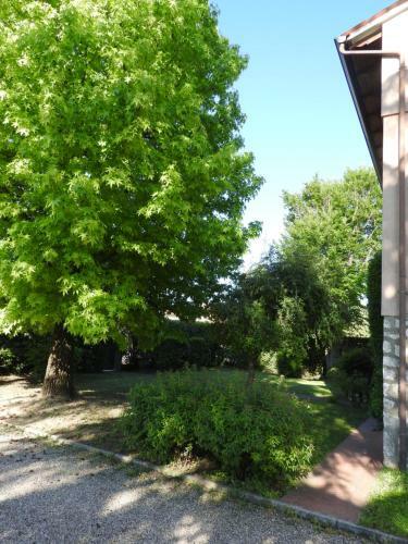 Bed & Breakfast Villa Venezia