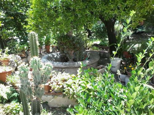 Apartamento La Terrazza Di Oplonti
