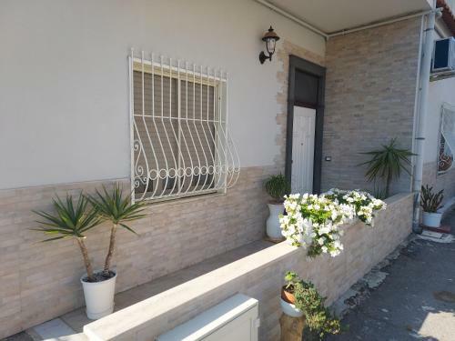 B&B Petra Hercules