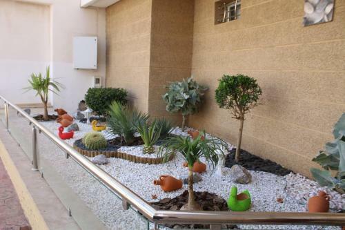 Apartamento Bouznika 13