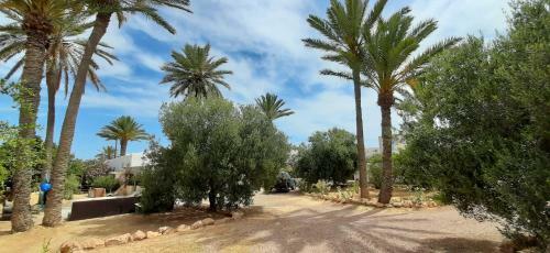 Djerbahouch