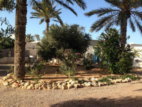 Djerbahouch