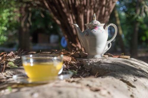 Bed & Breakfast Filobrocante