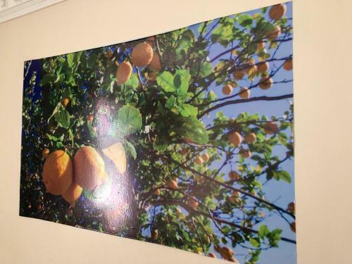 Apartamento Lemon Tree