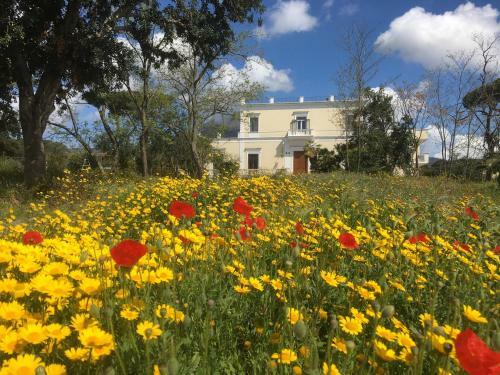 Bed & Breakfast Villa Carafa de Cillis